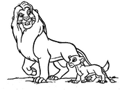 coloriage le roi lion mufasa se promene avec simba